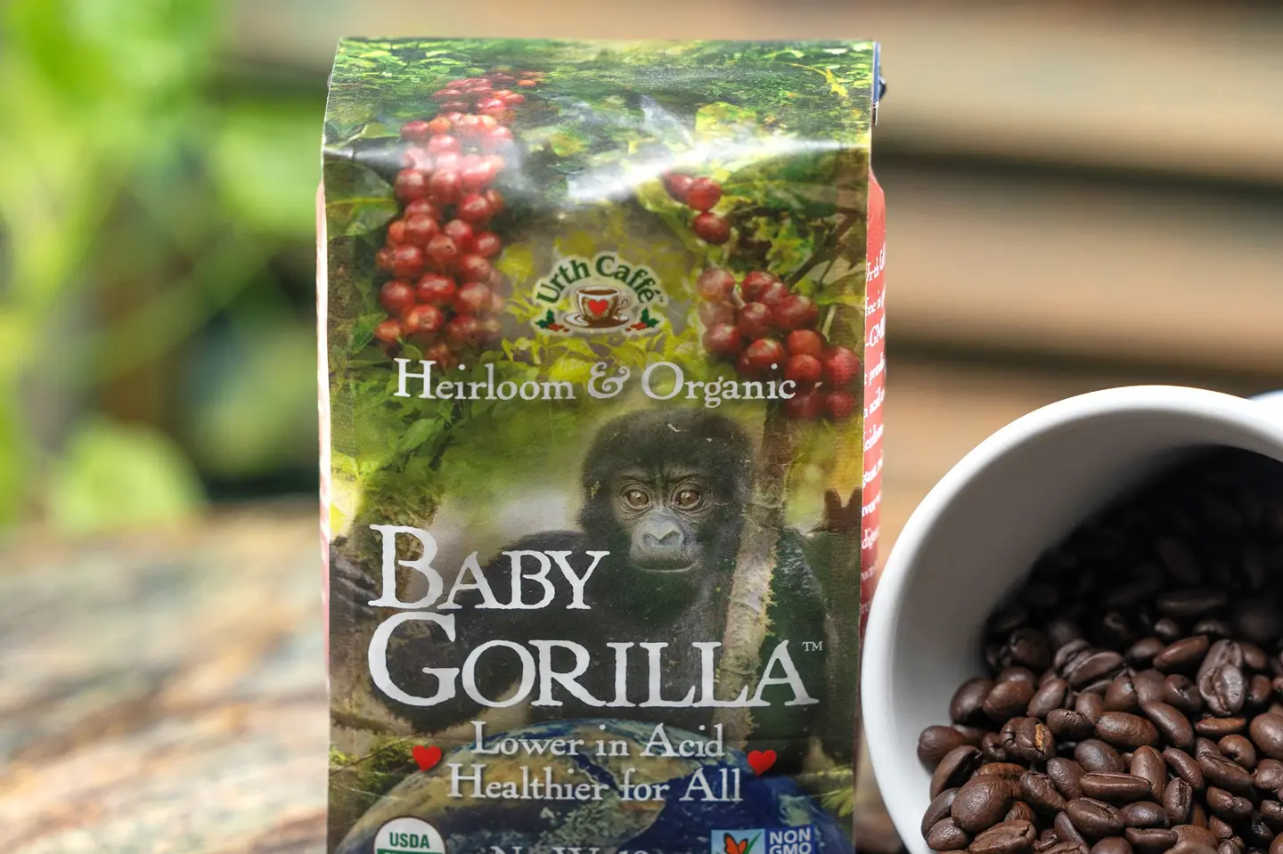 Baby Gorilla