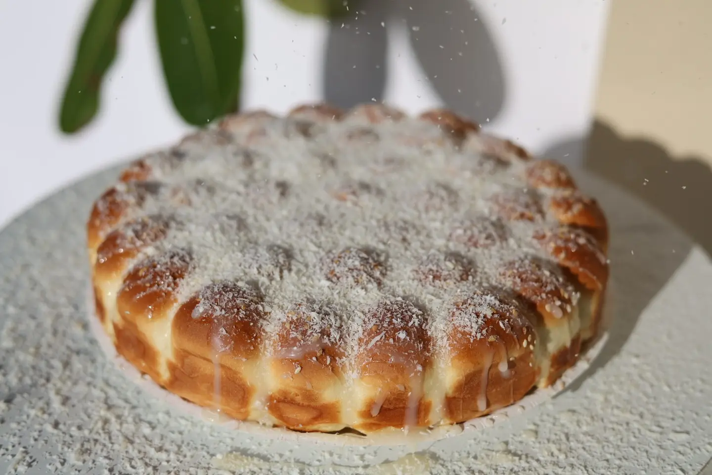 خلية جوز هند