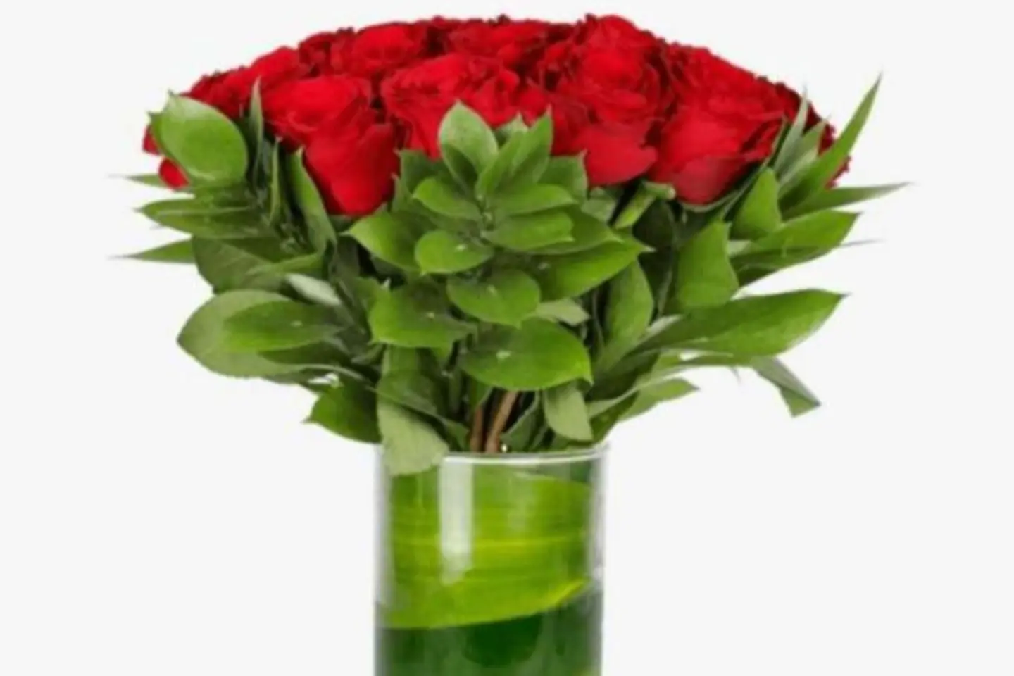 فازة الورد الأحمر الجوري