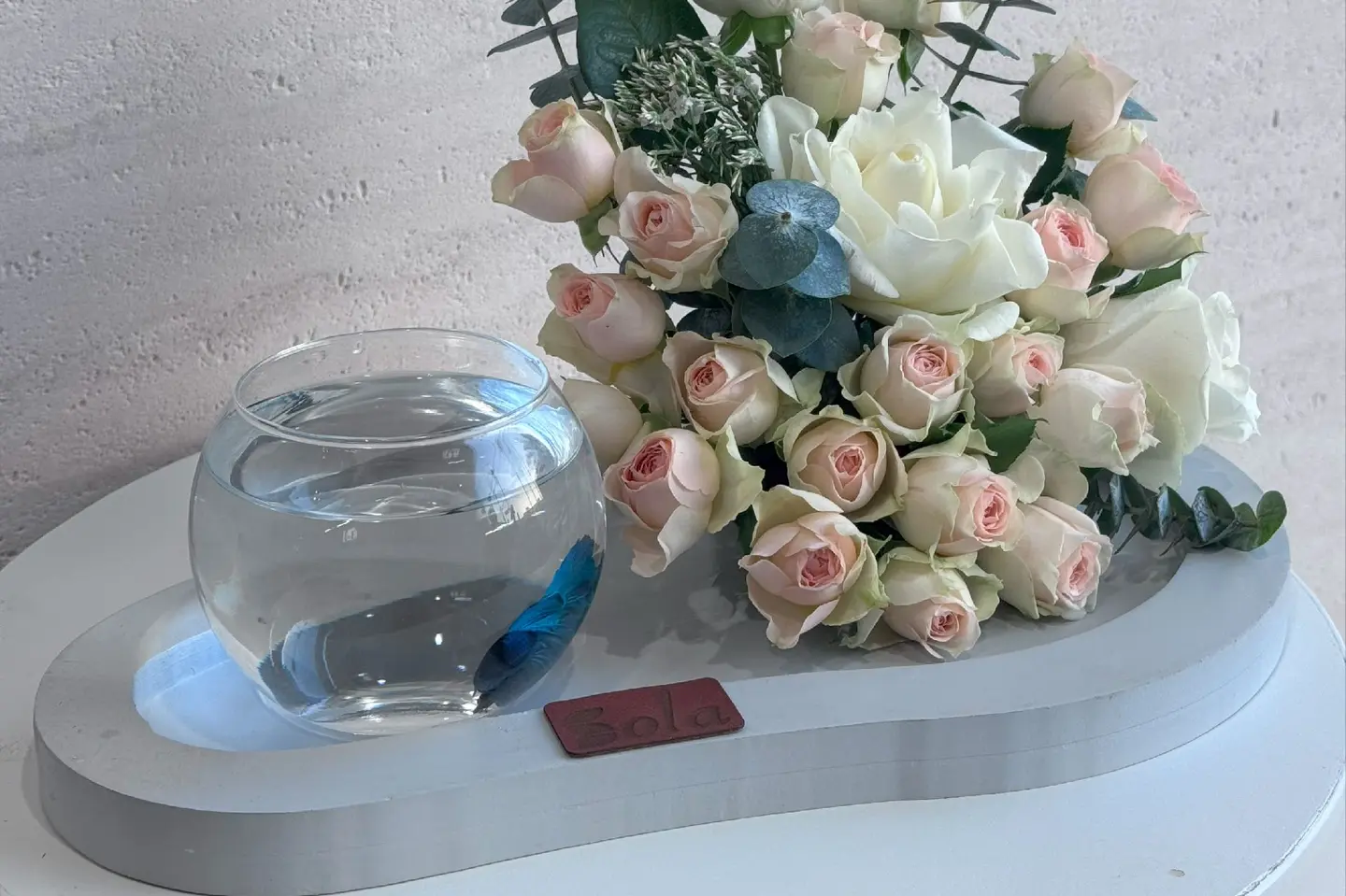 قاعدة سمك الفايتر ب