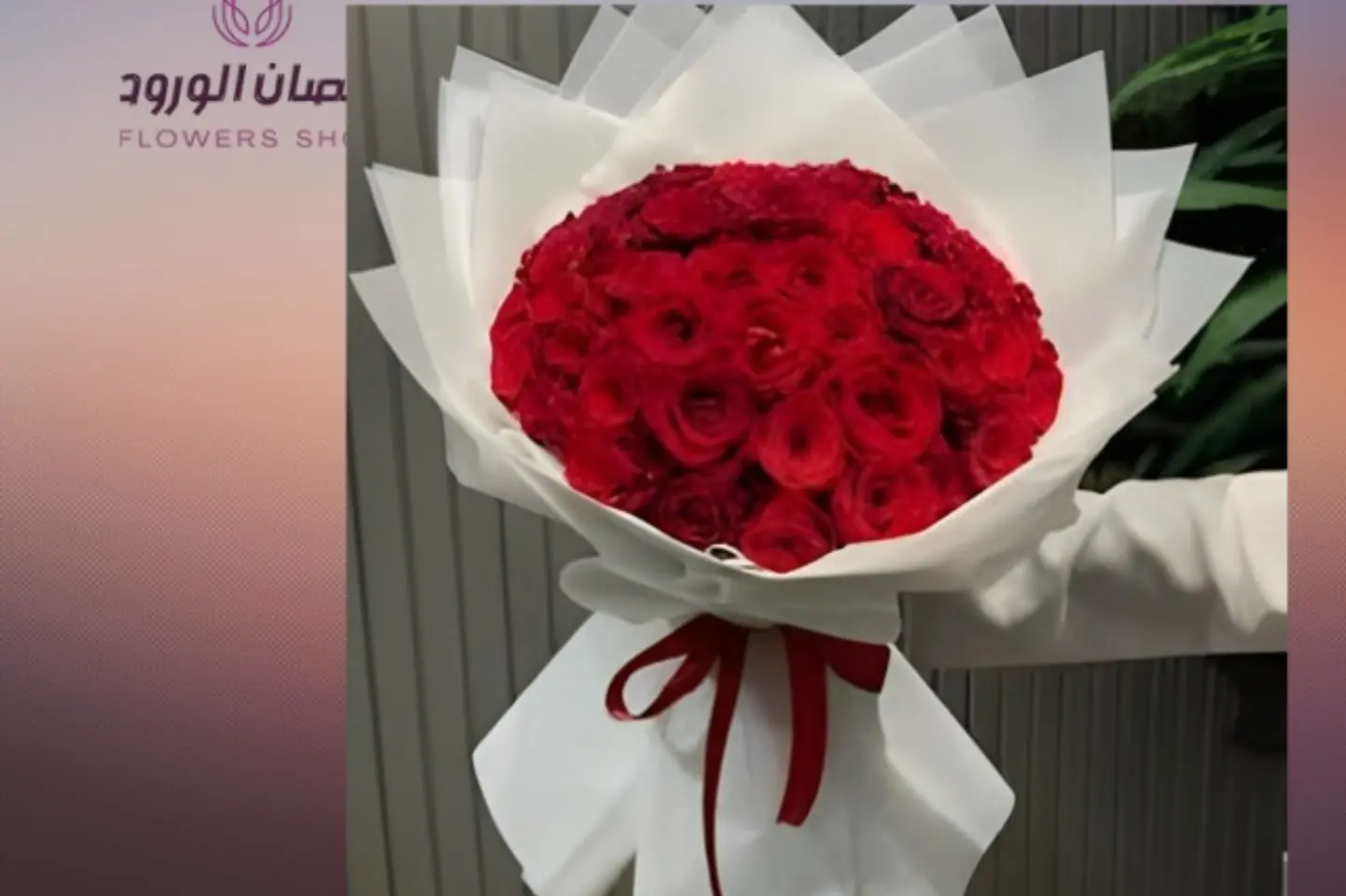 باقه الفلانتين ورد احمر