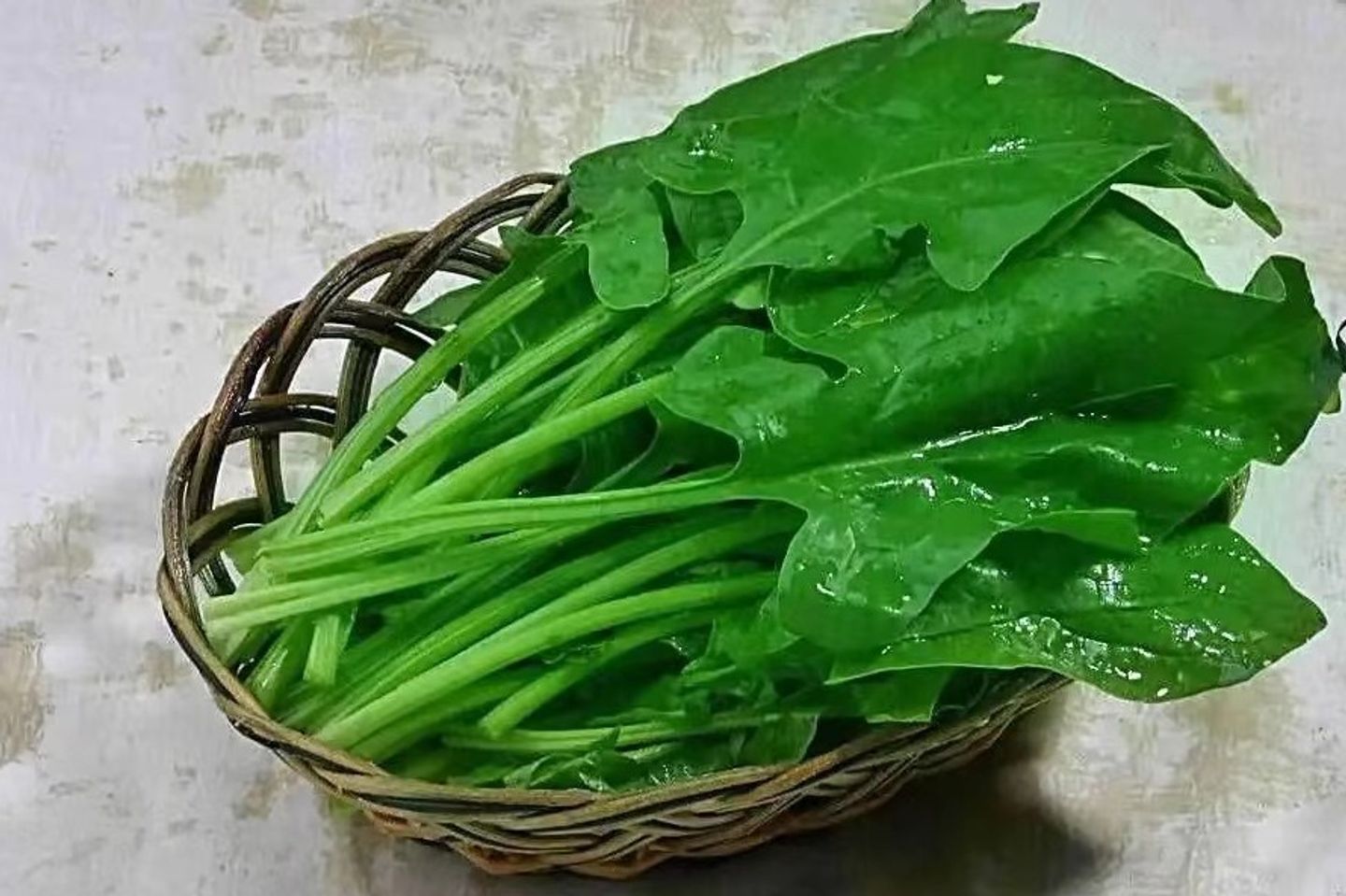 سبانخ