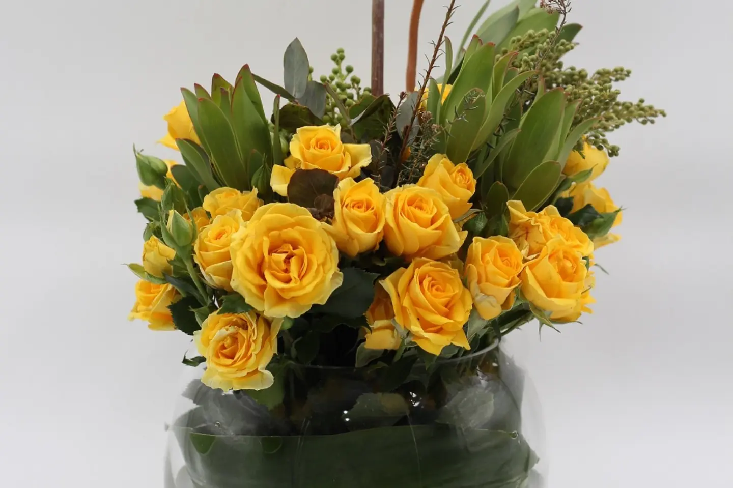 وردة و شتلة_٠٠٠٤٠