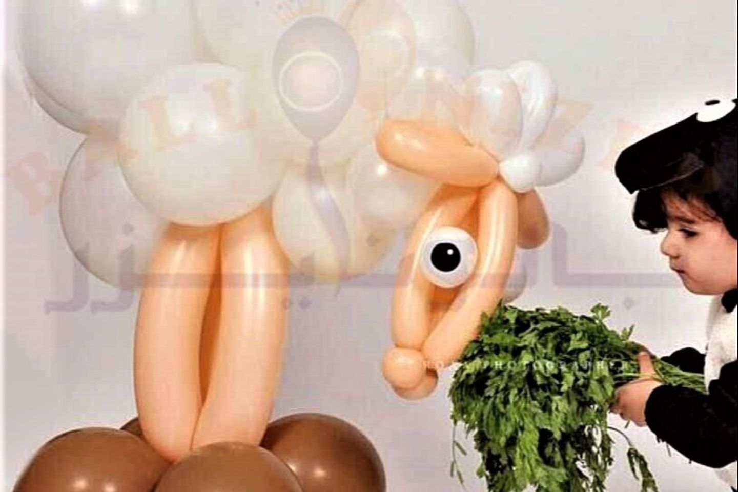 Sheep Eid Design