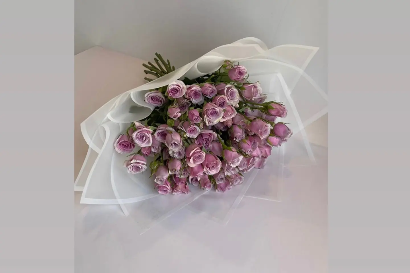 Baby Rose Purple