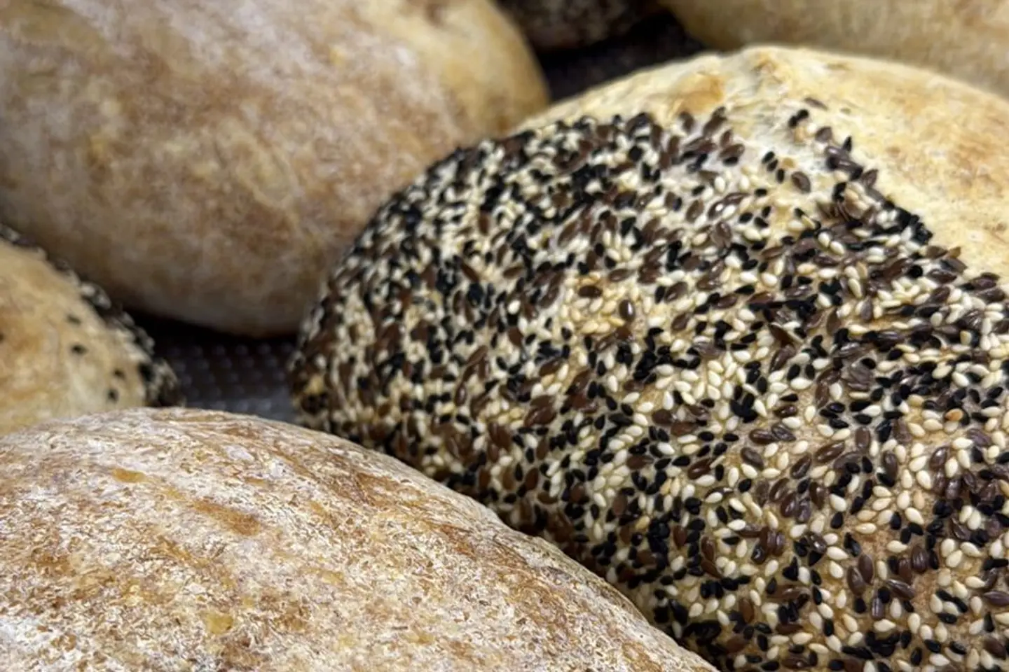 Rustic Sourdough Bread