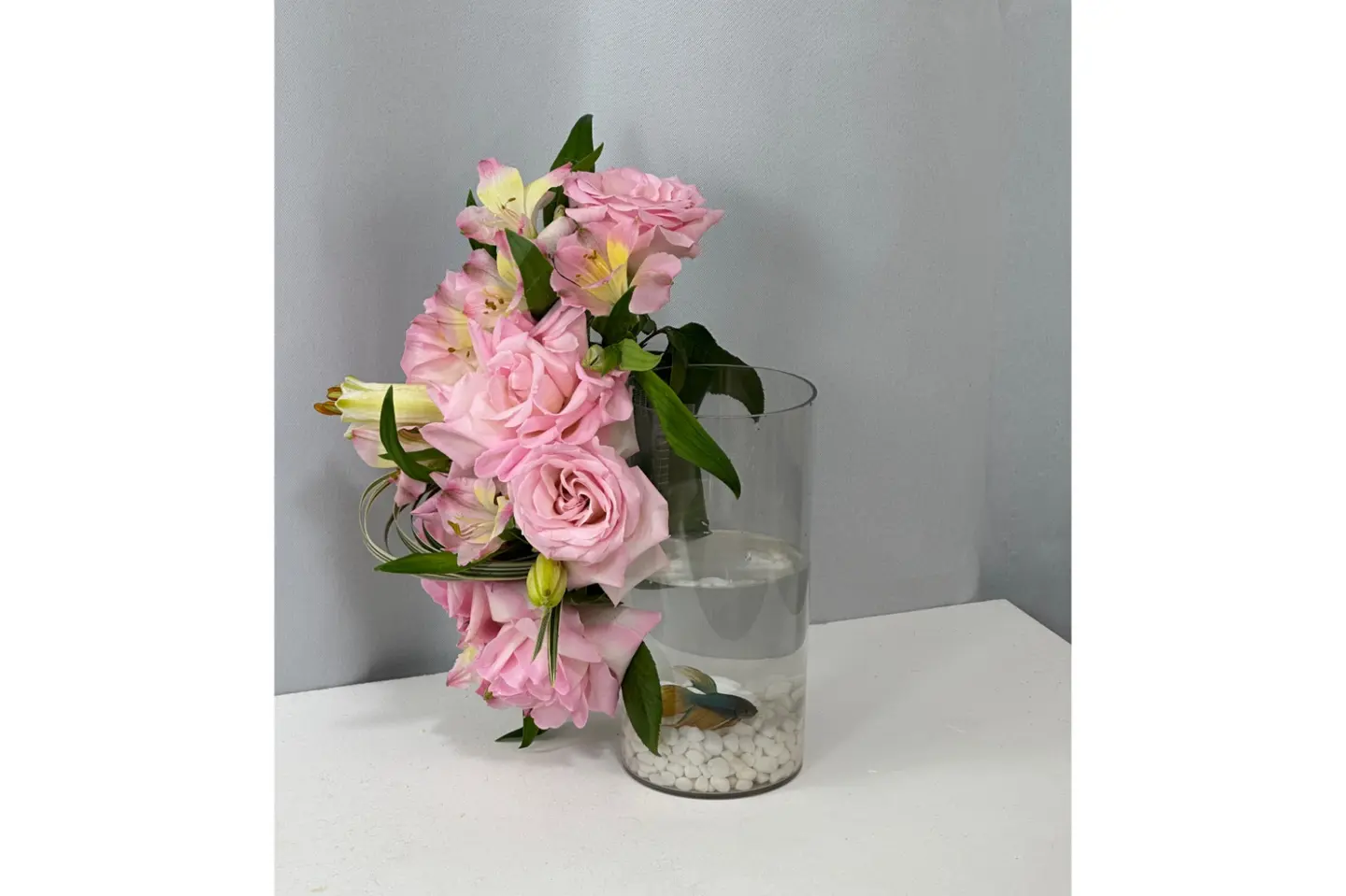 فازة السمكة الرائعة