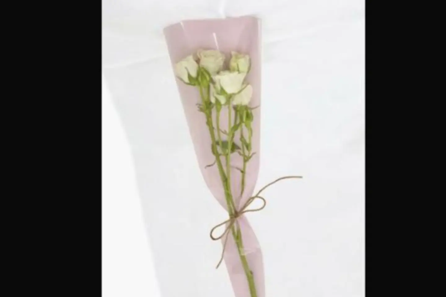 White Baby Rose Branch   Wrapped