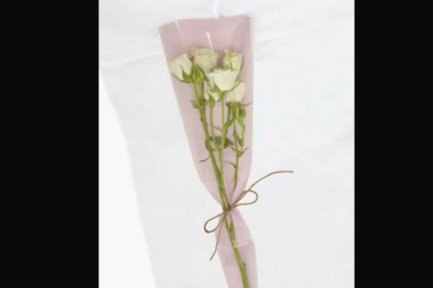 White Baby Rose Branch   Wrapped