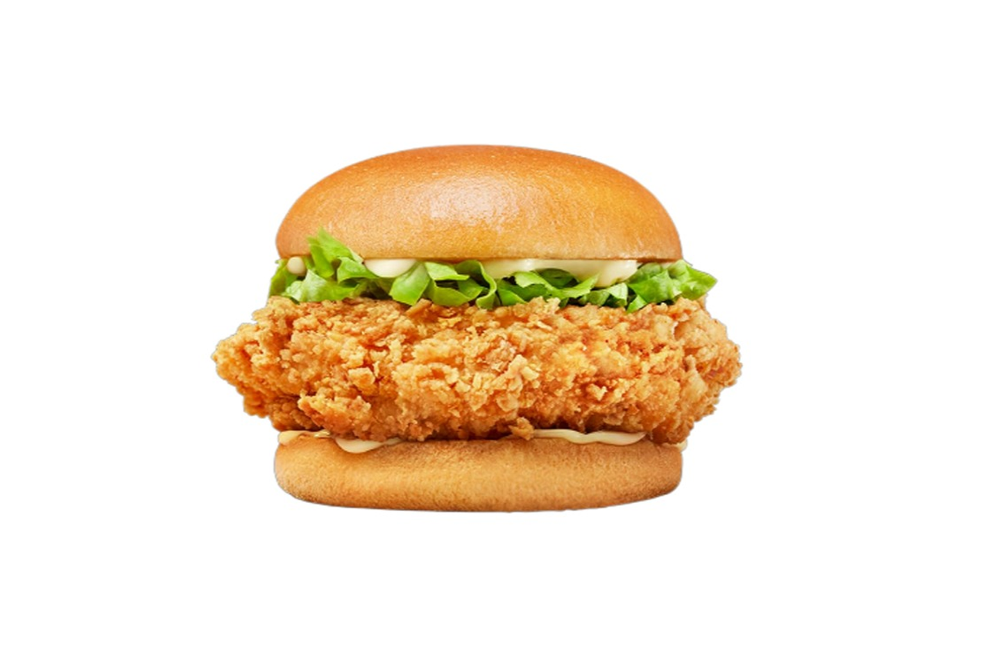 Crispy Chicken Burger