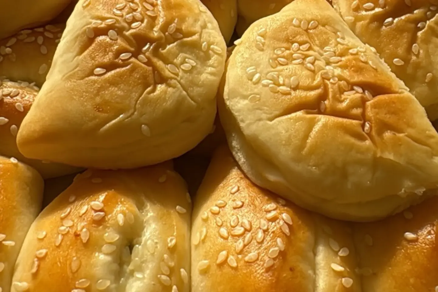 معجنات ١٢ حبه