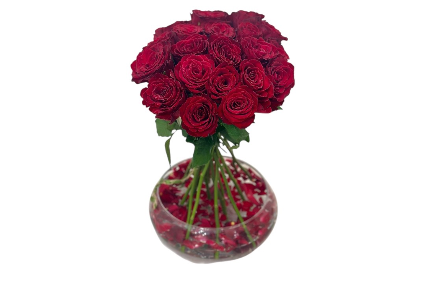 فازة الاناقة