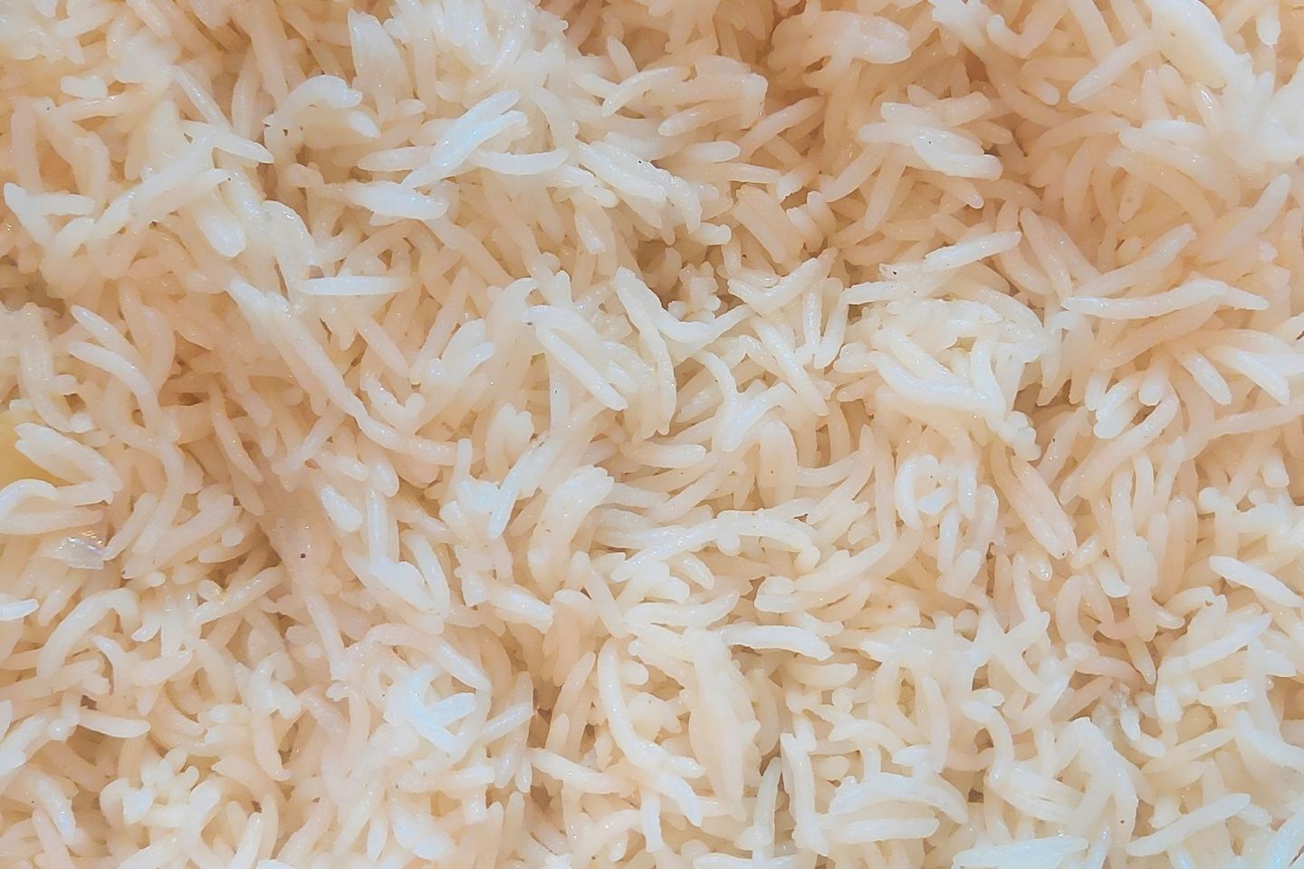 نفر أرز أبيض