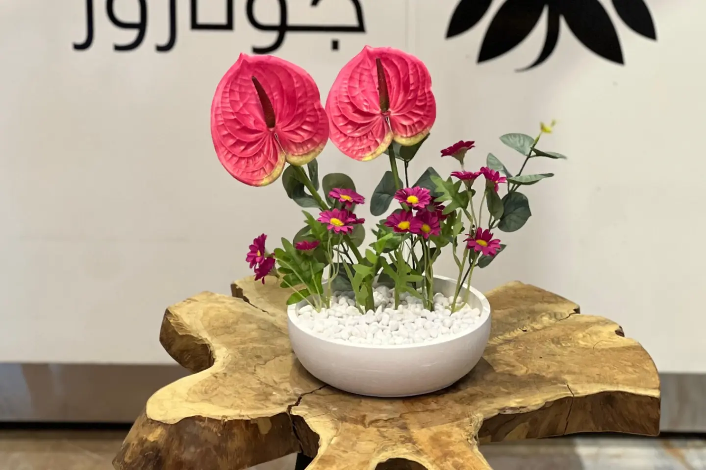 فازات جوناروز٥
