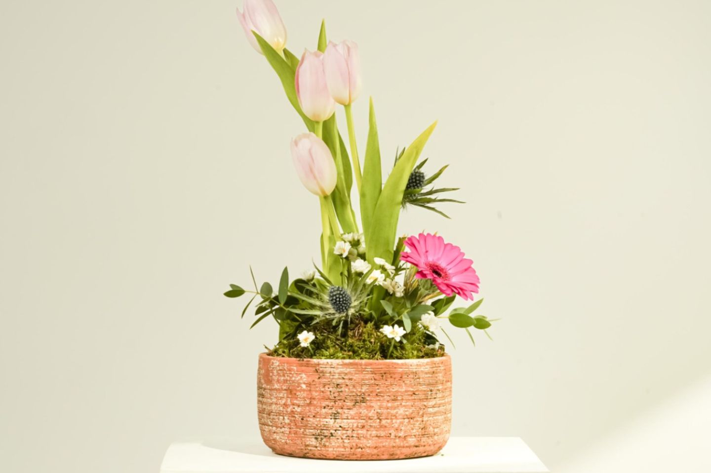 Little Garden 2