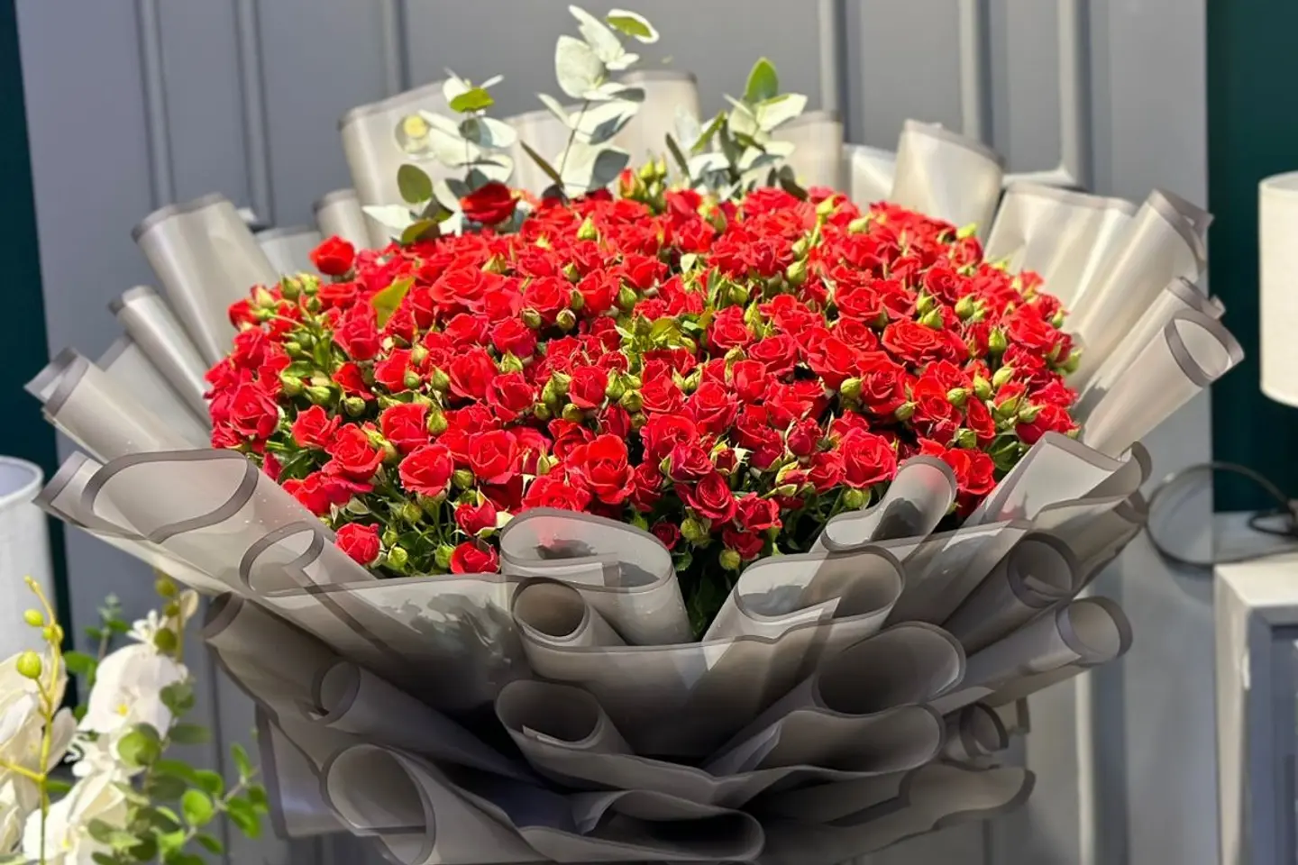 Baby Rose Sea