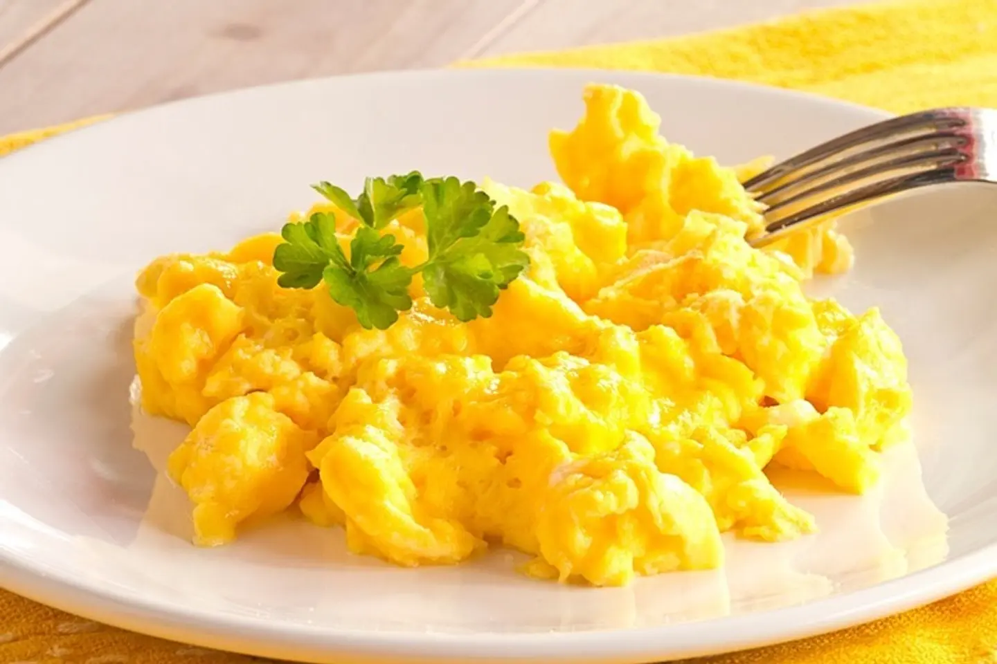 One Scrambled Egg