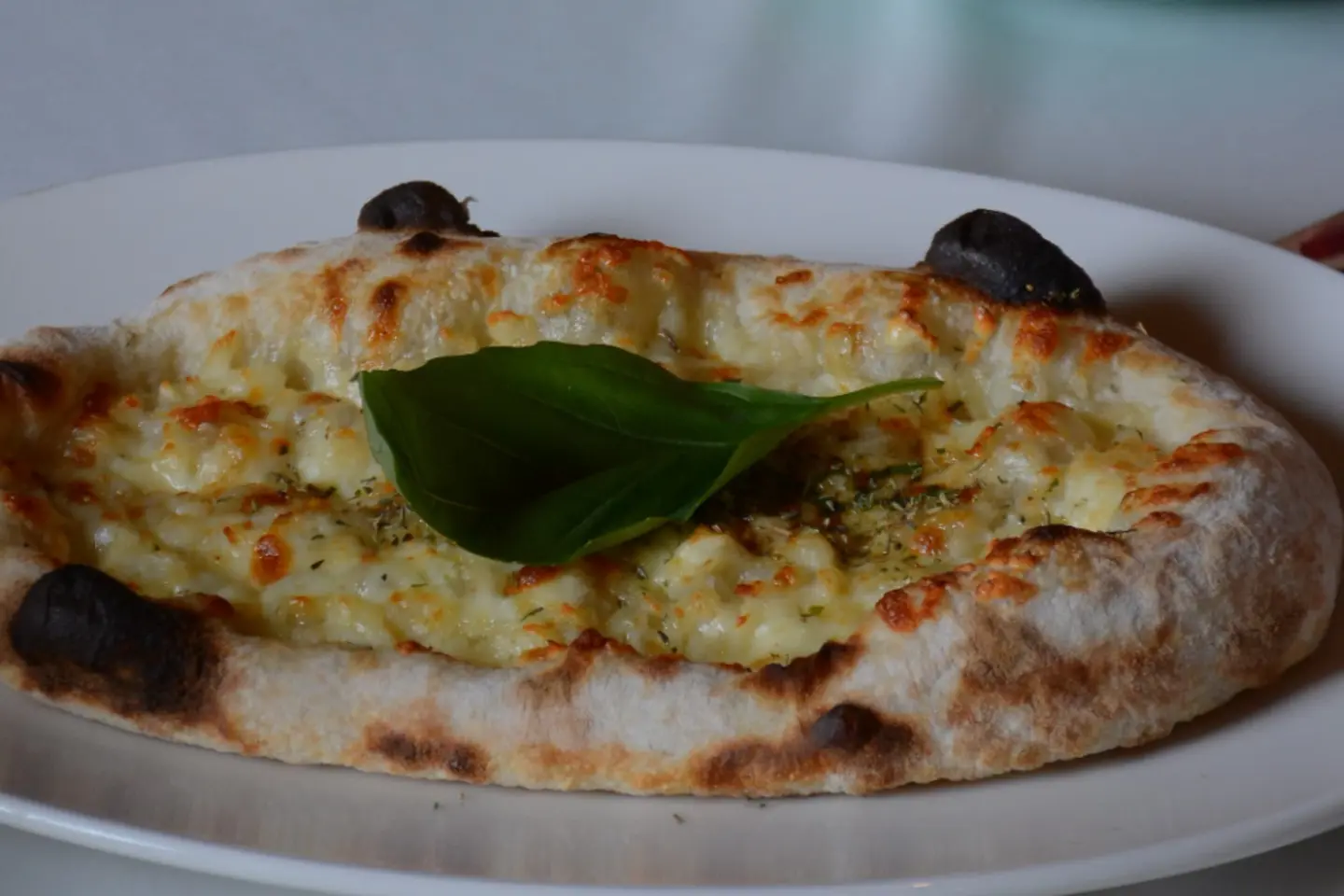 Haloumi E Mozzarella