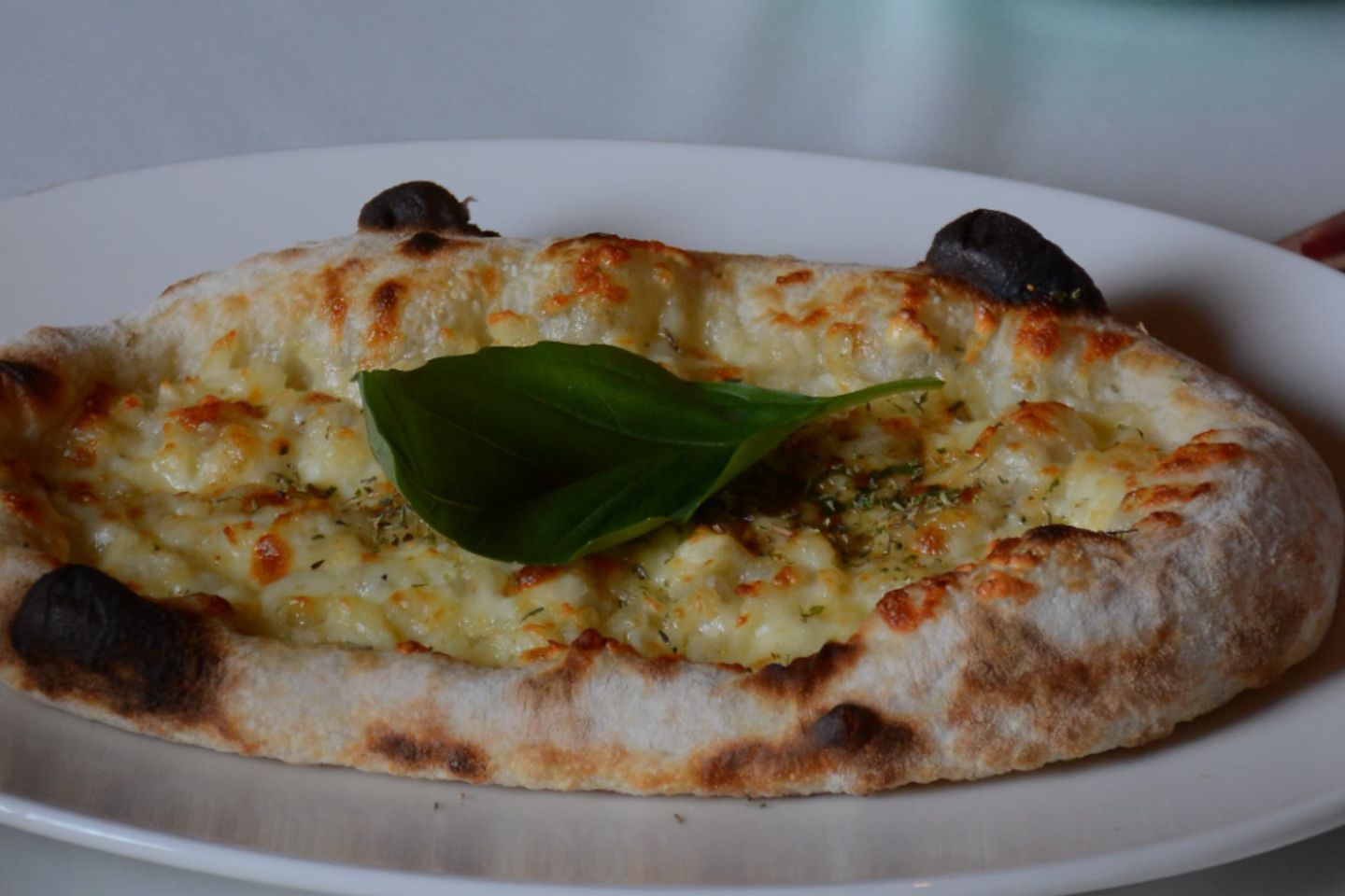 Haloumi E Mozzarella