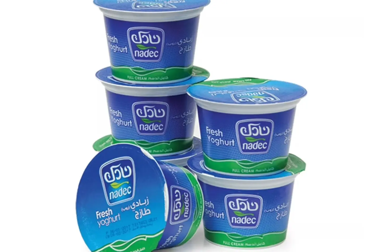 Yogurt Called You