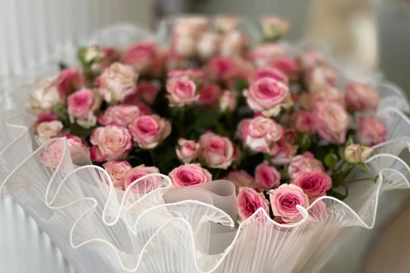 باقة دائرية بينك بيبي روز ١٨٠