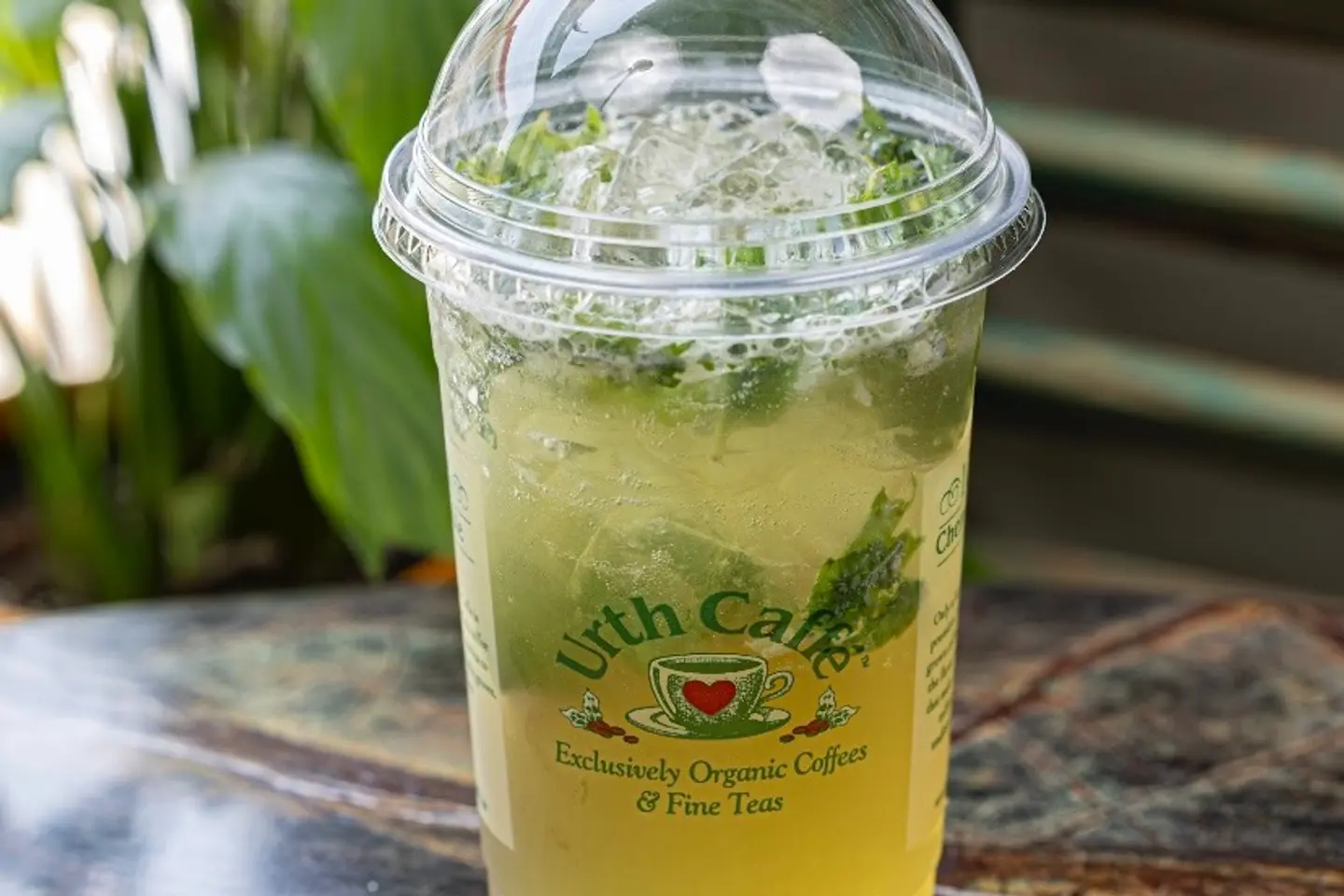 شاي البابونج والنعناع المثلج