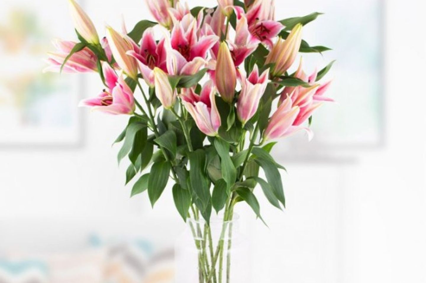 Casablanca Pink Rose Vase
