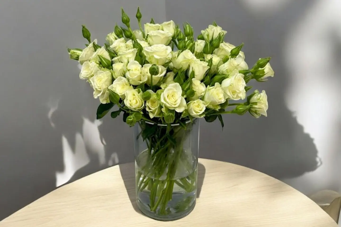 Rose 2