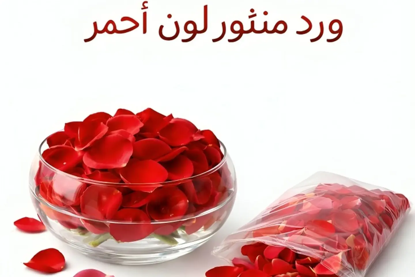 Rose   603