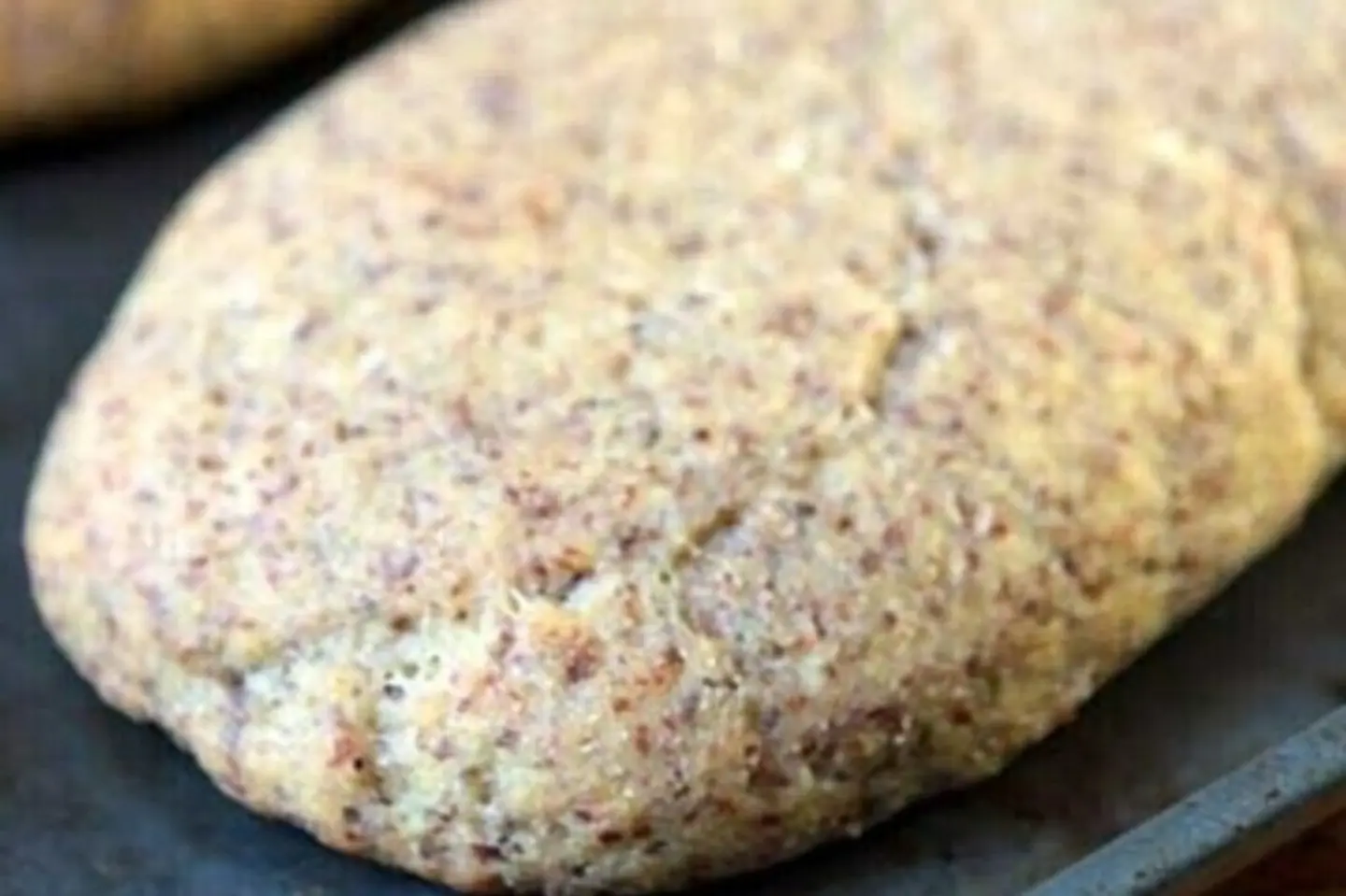 خبز بانيني سادة