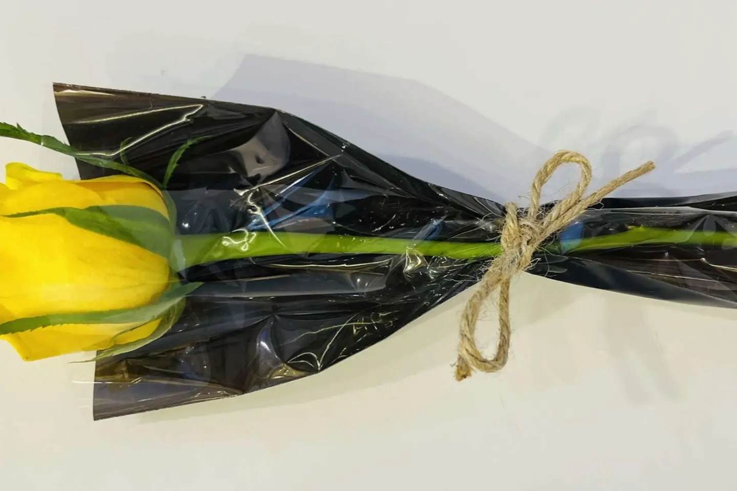 وردة جوري اصفر