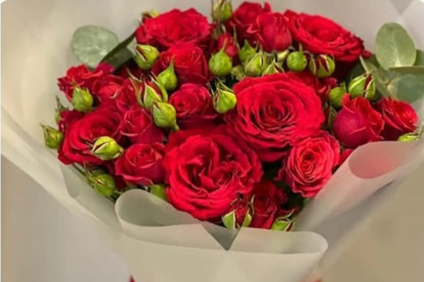باقة العطاء
