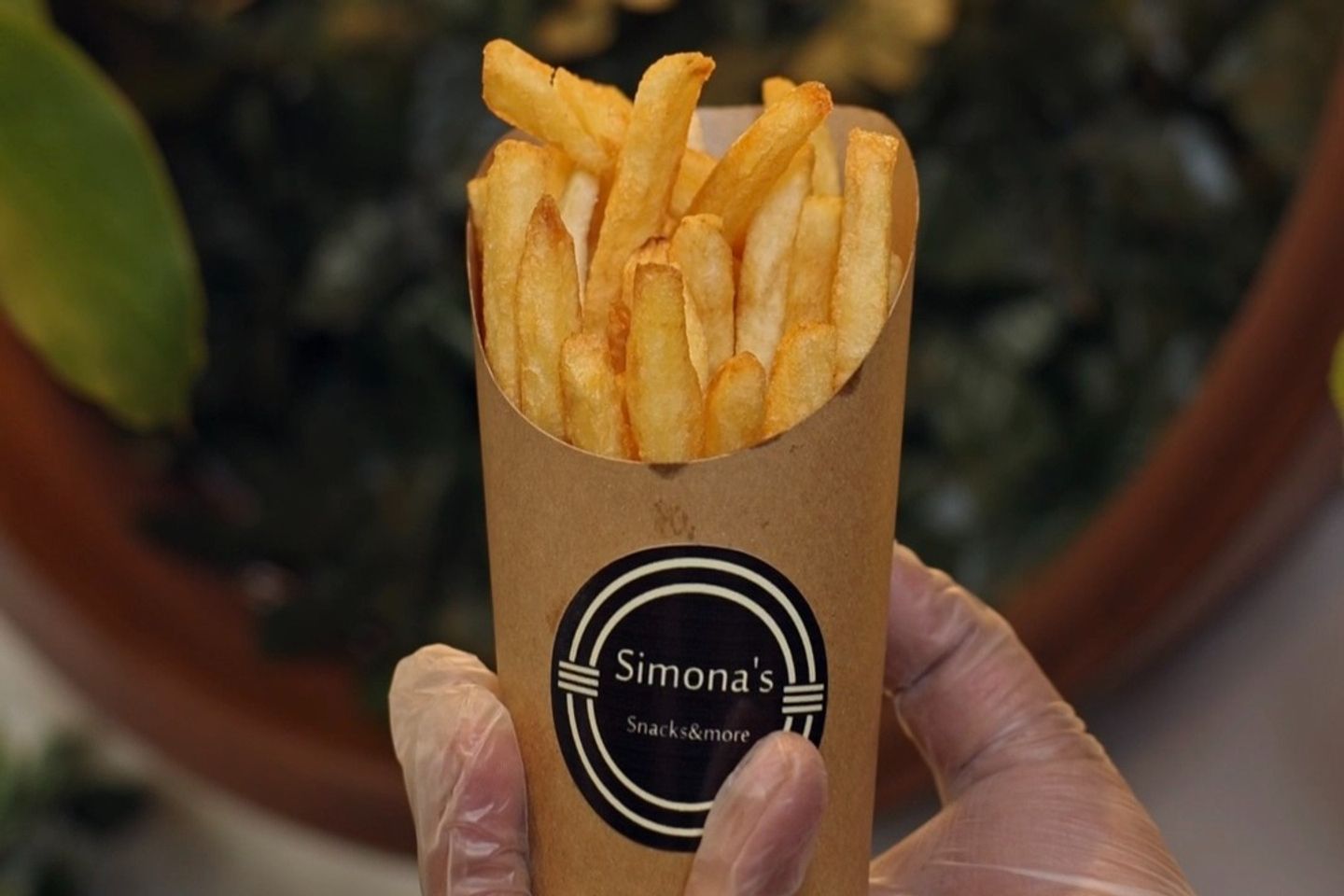 Fries