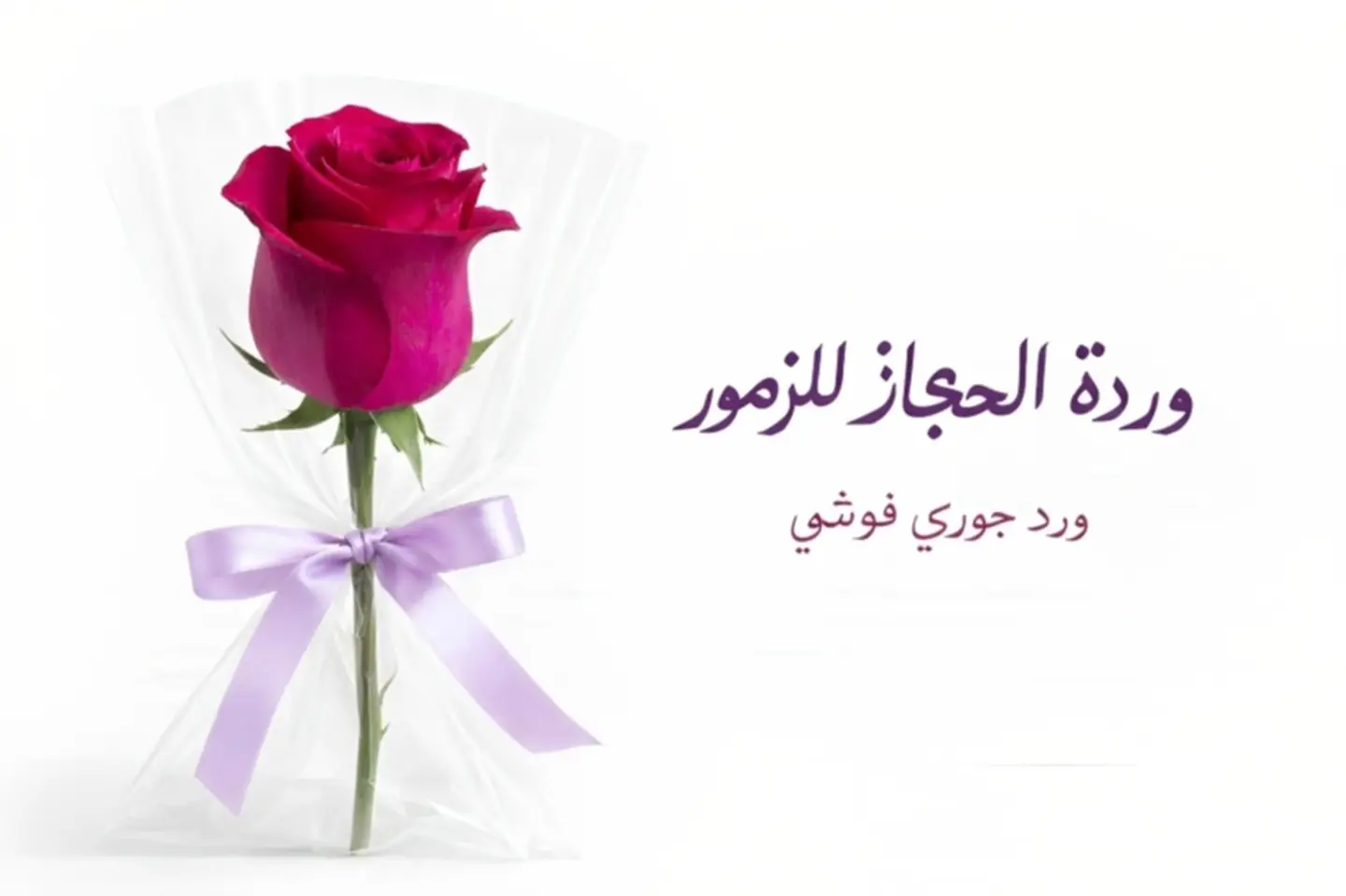Roses   561