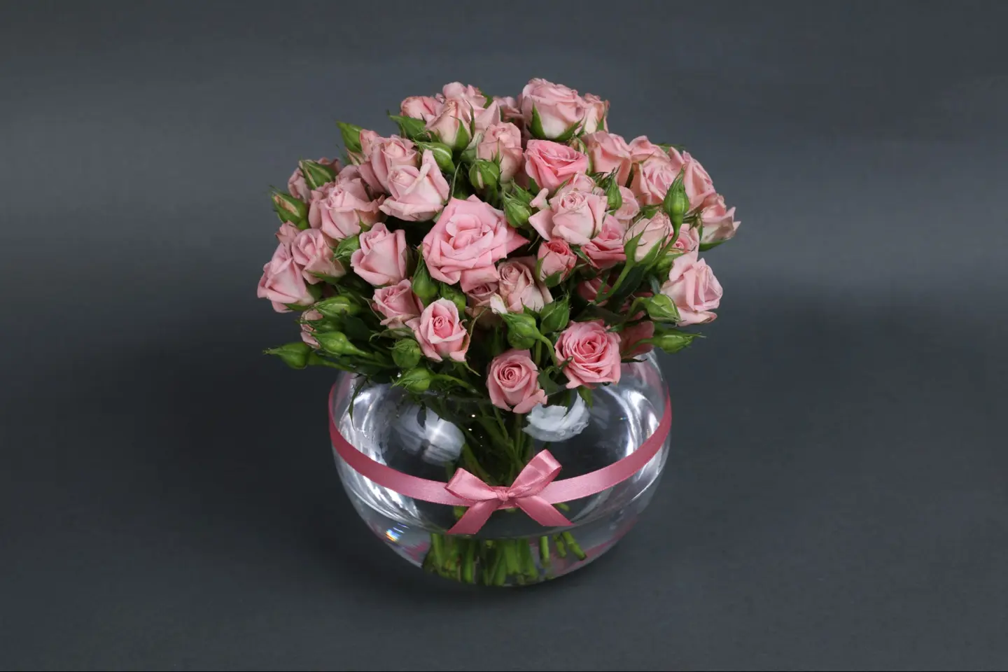 فازة بيبي روز زهري