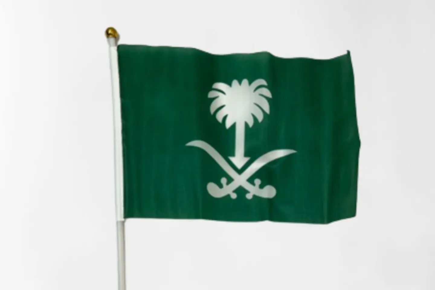 Kea Flag   30x45cm