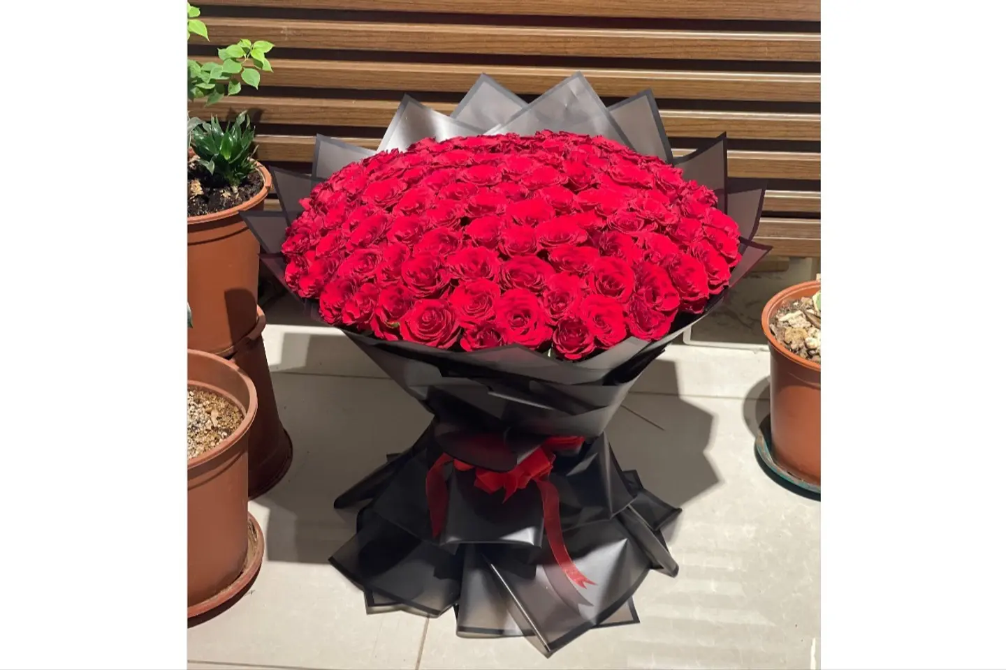 باقة اشراقة