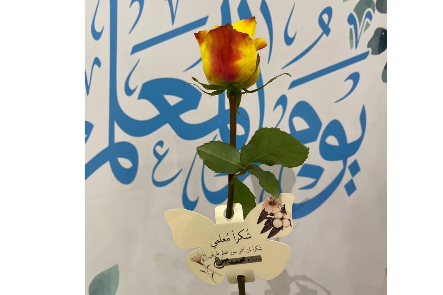 Teacher's Day Gift M