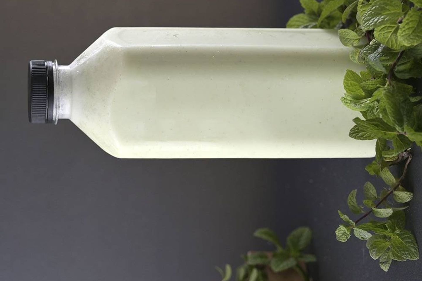 Yoghurt With Mint