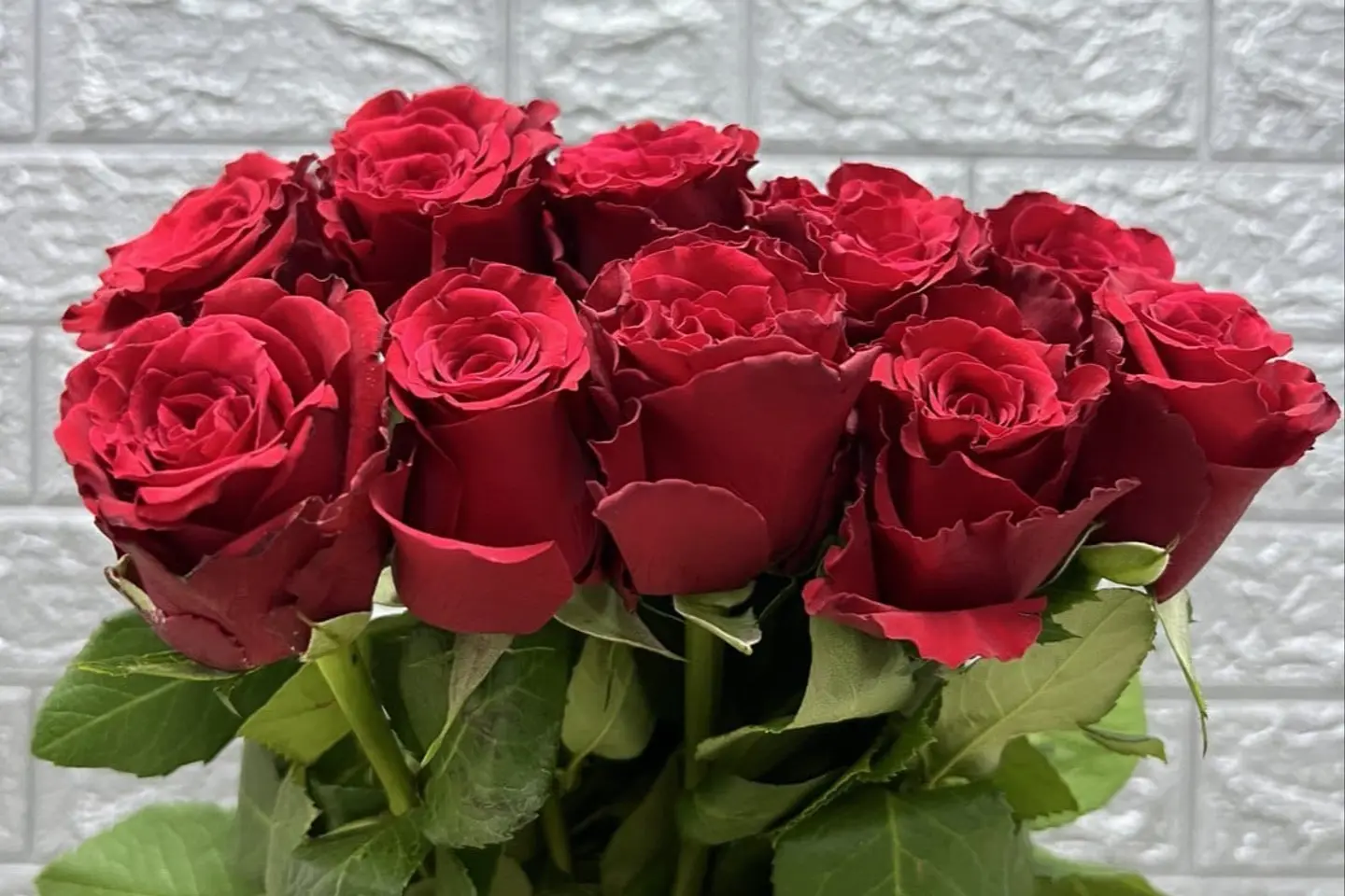 وردة و شتلة ٠٠٠٥٩