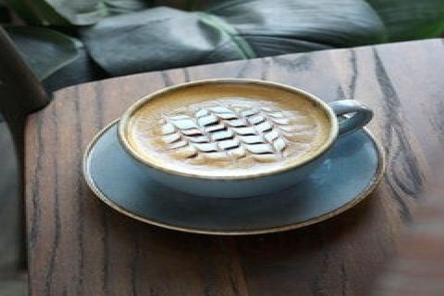 Mocha