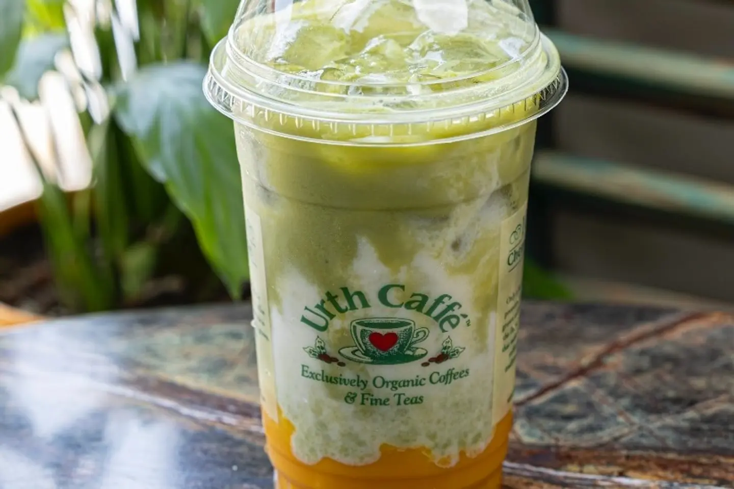 ماتشا بالمانجا