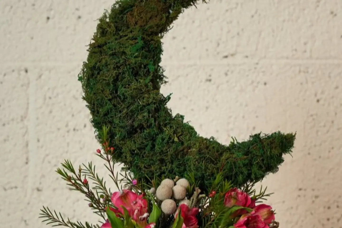 هلال الربيع