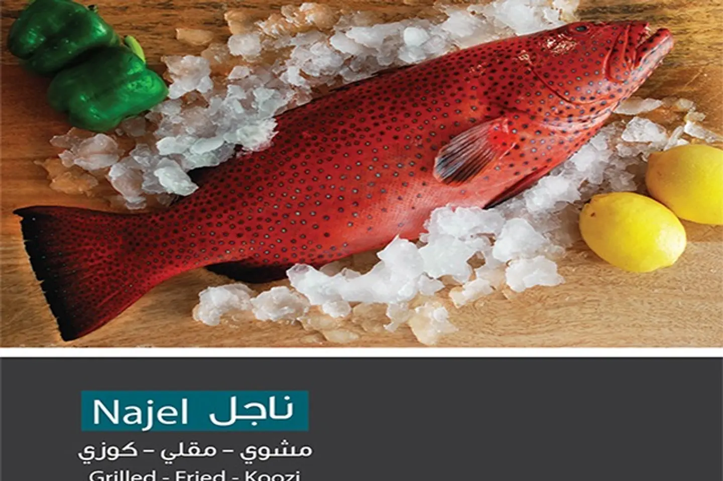 ناجل