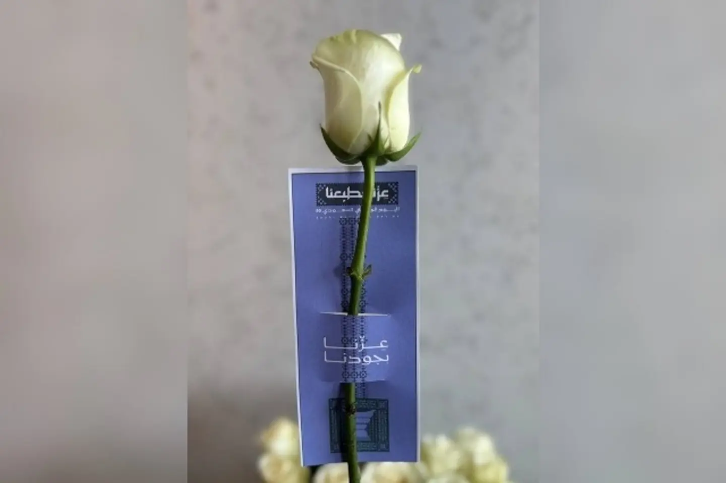 توزيعات اليوم الوطني ٢