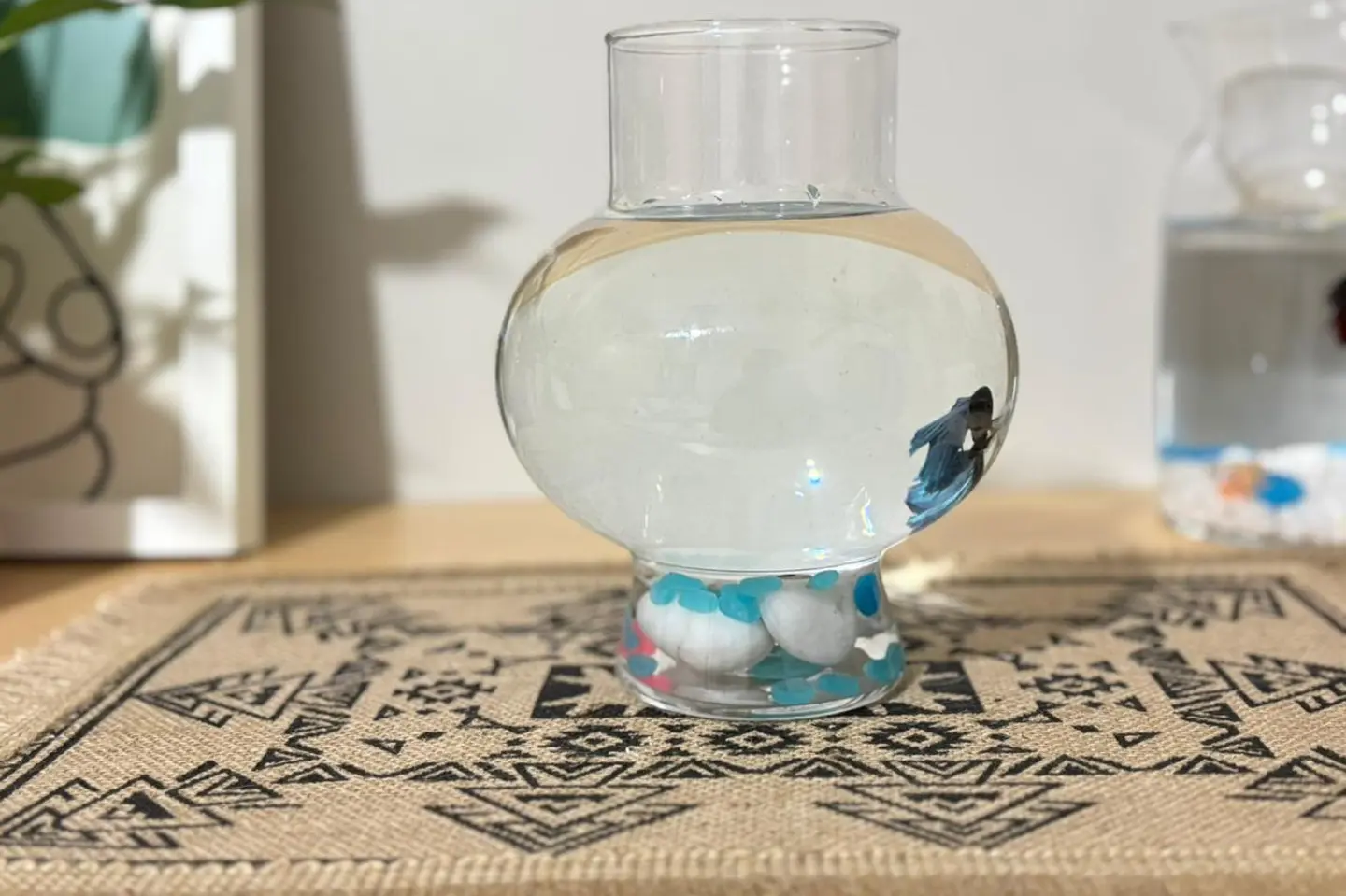 فازة سمك فايتر مع أحجار مضيئة وأصداف