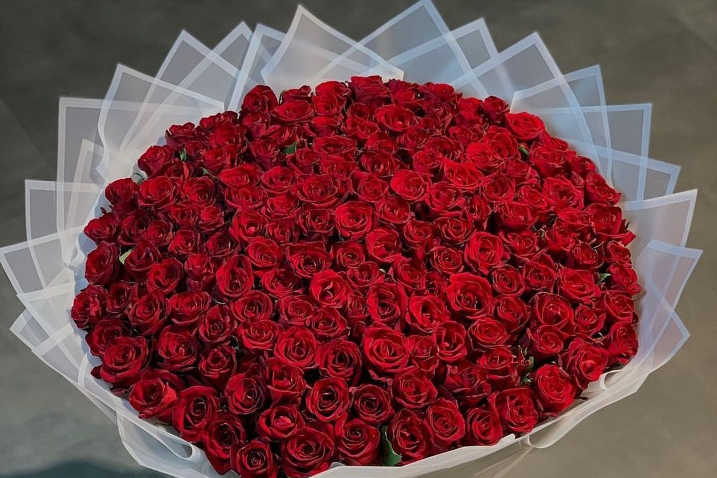 حياتي