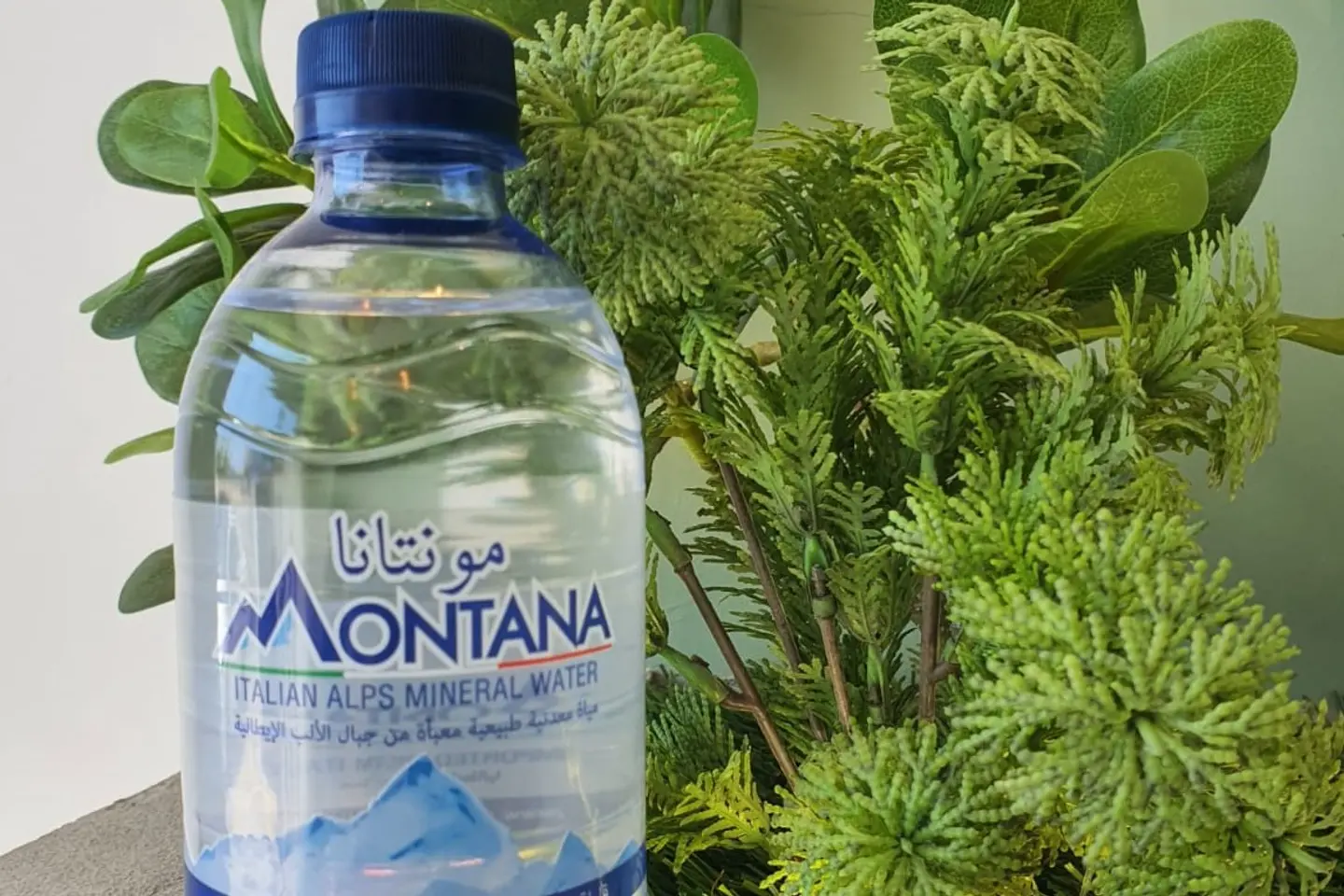 Montana Water
