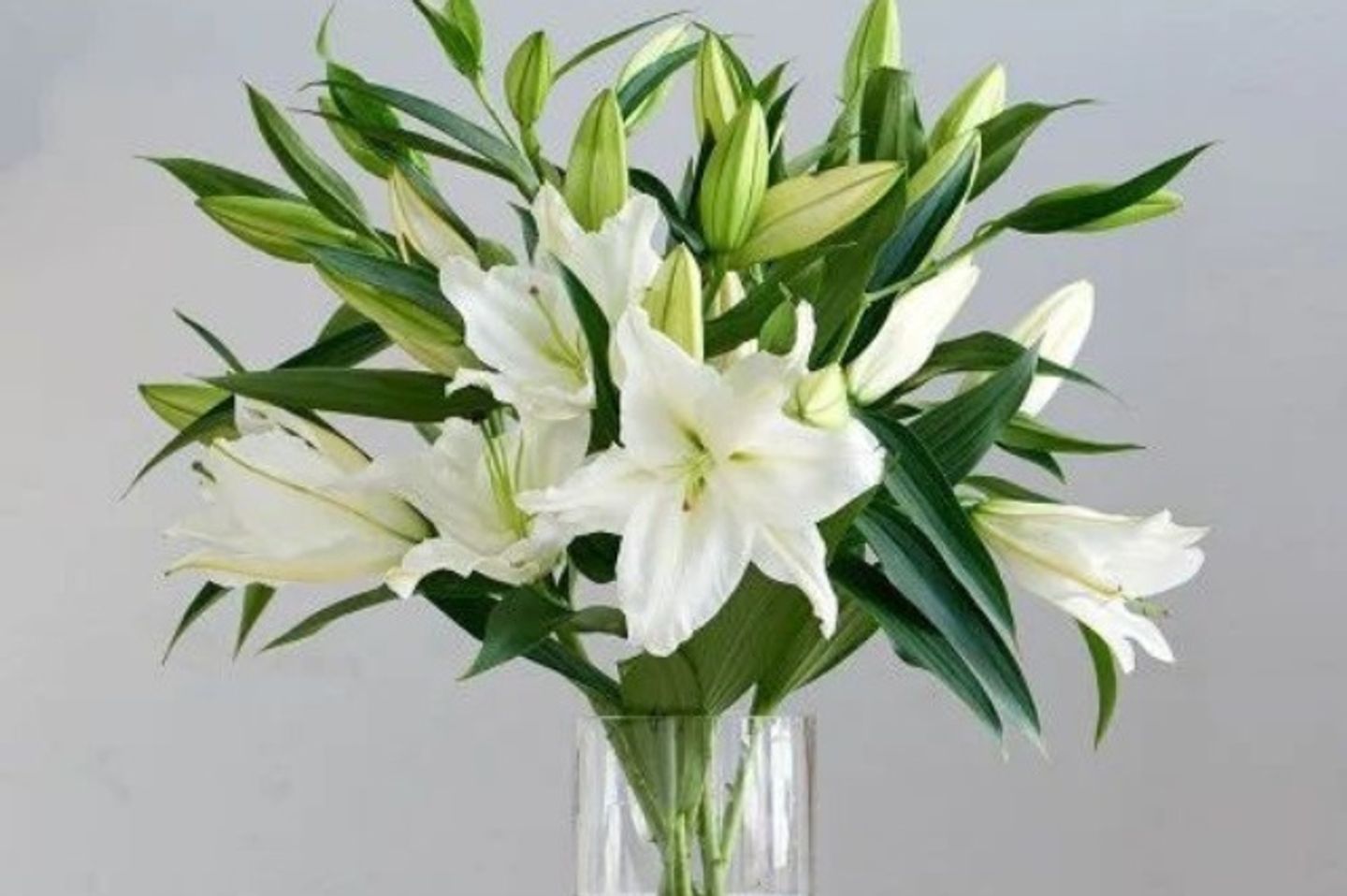 Casablanca Vase