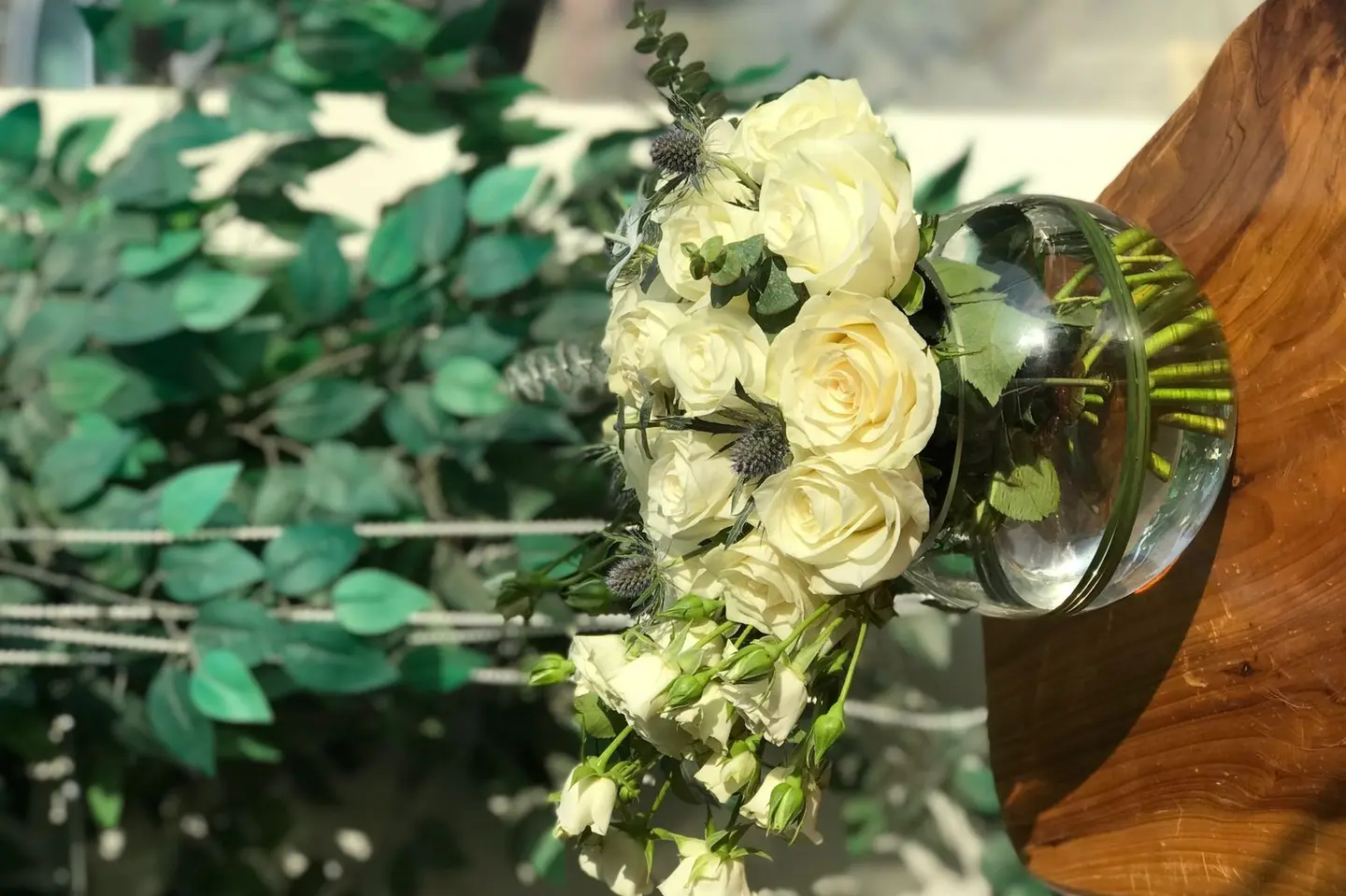 فازة ورد روز و بيبي روز طبيعية